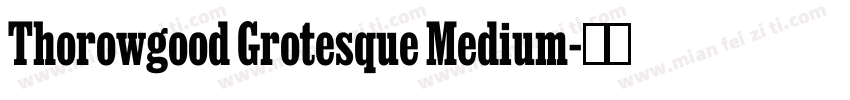 Thorowgood Grotesque Medium字体转换